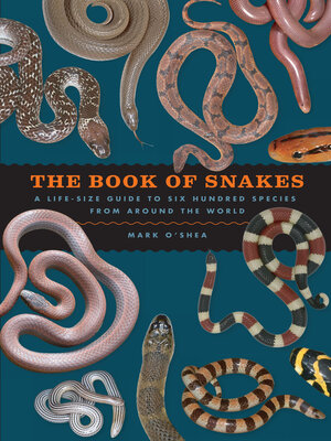 cover image of The Book of Snakes